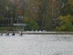 picture 041